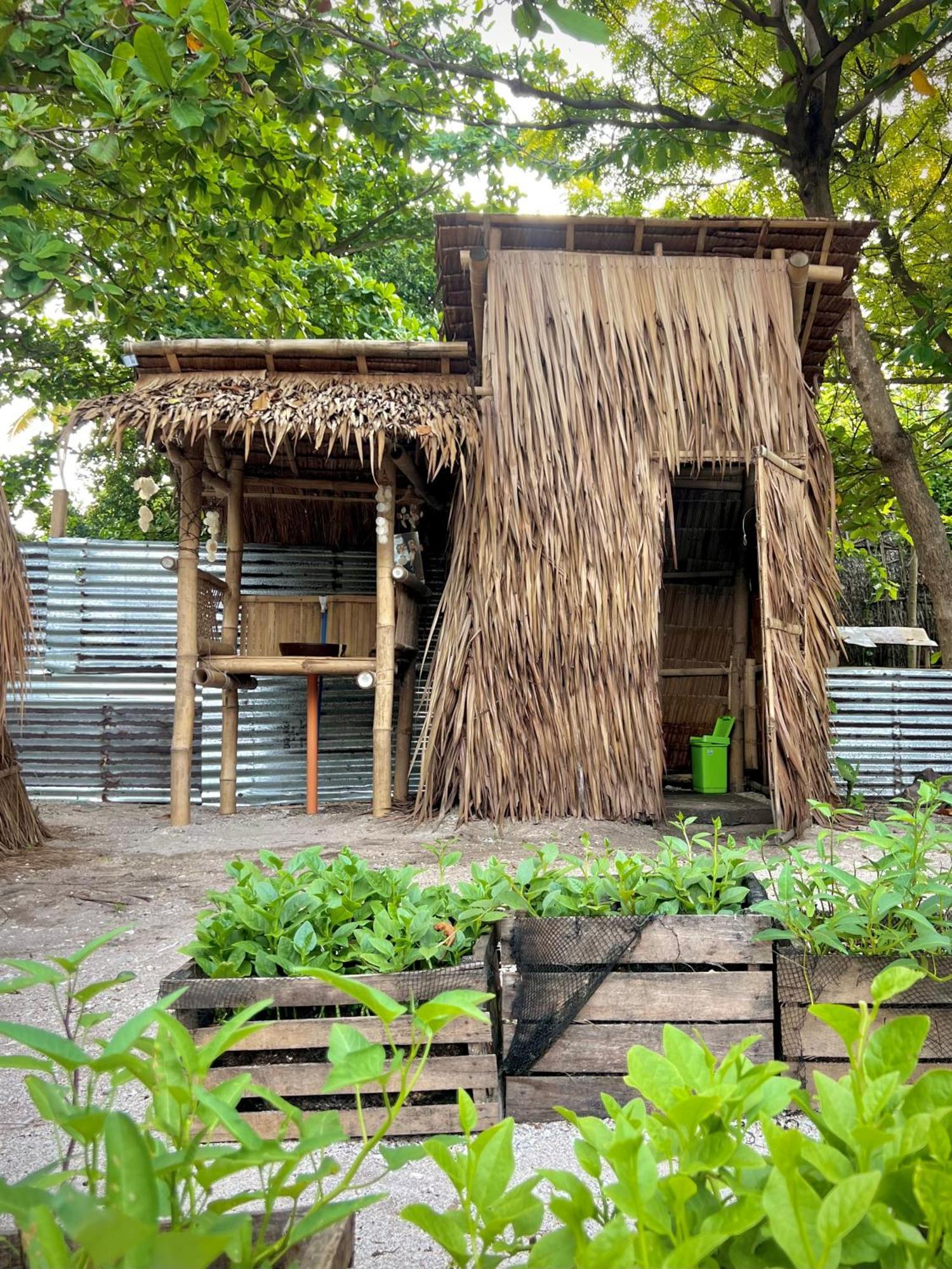 Tribal Huts Community Hostel Daanbantayan Cameră foto