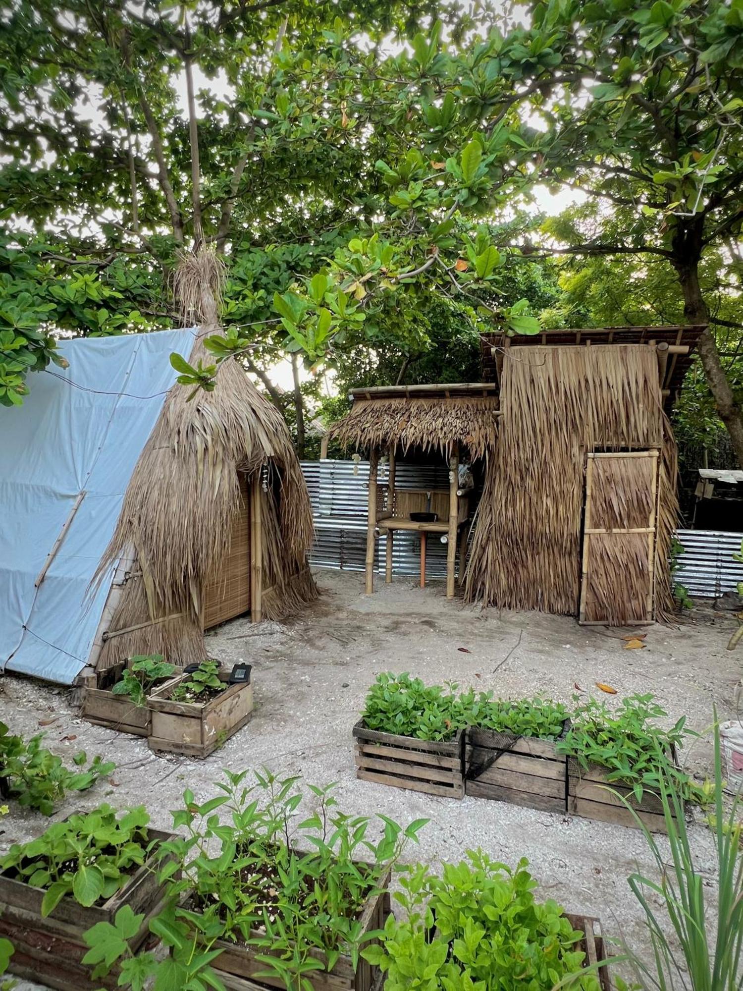 Tribal Huts Community Hostel Daanbantayan Exterior foto
